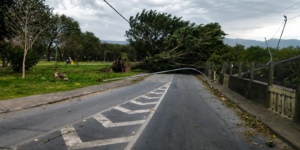 ventos-fortes-matam-tres-pessoas-em-sao-paulo